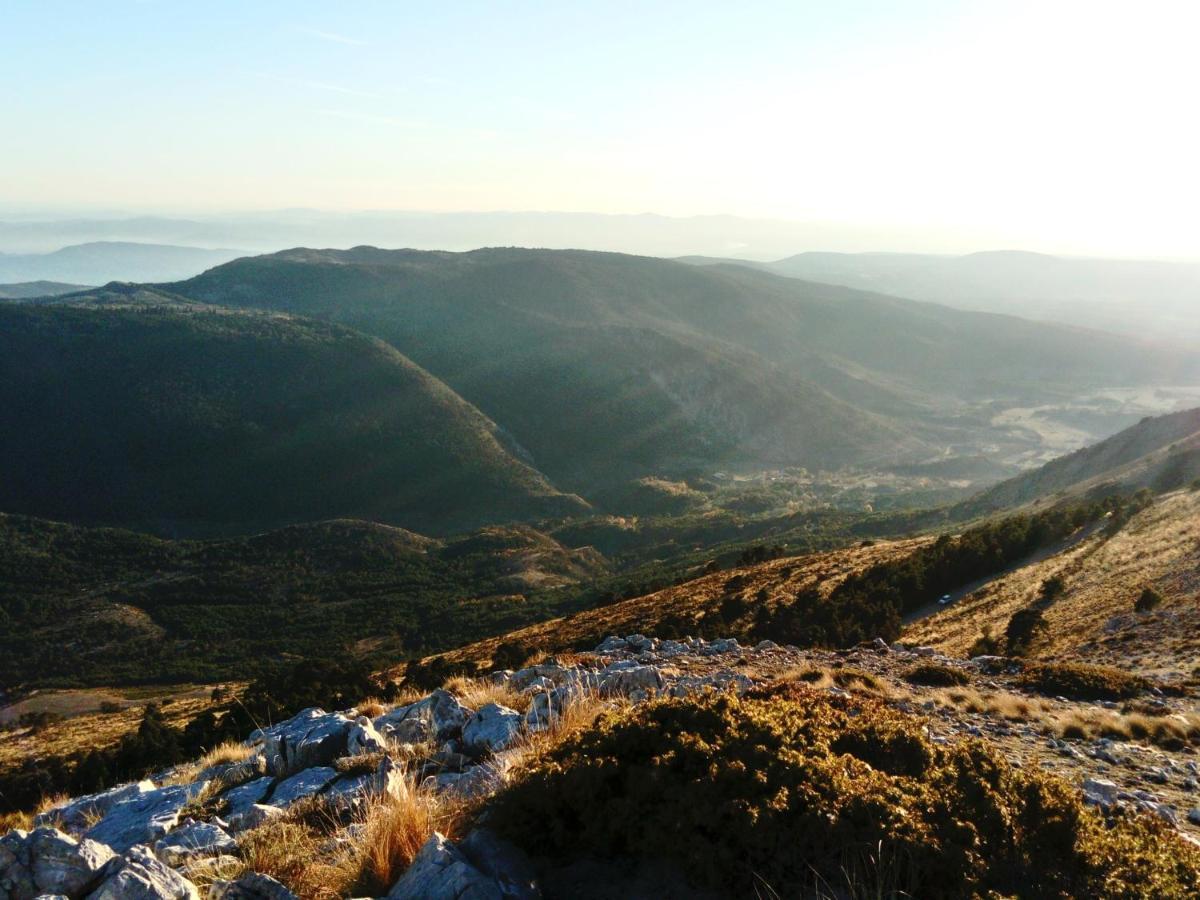 La Bastide Des Pins Affittacamere