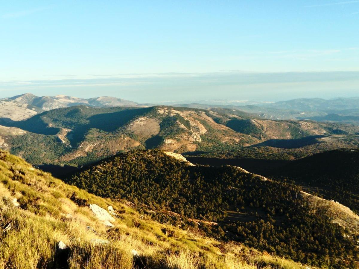 La Bastide Des Pins Pensión