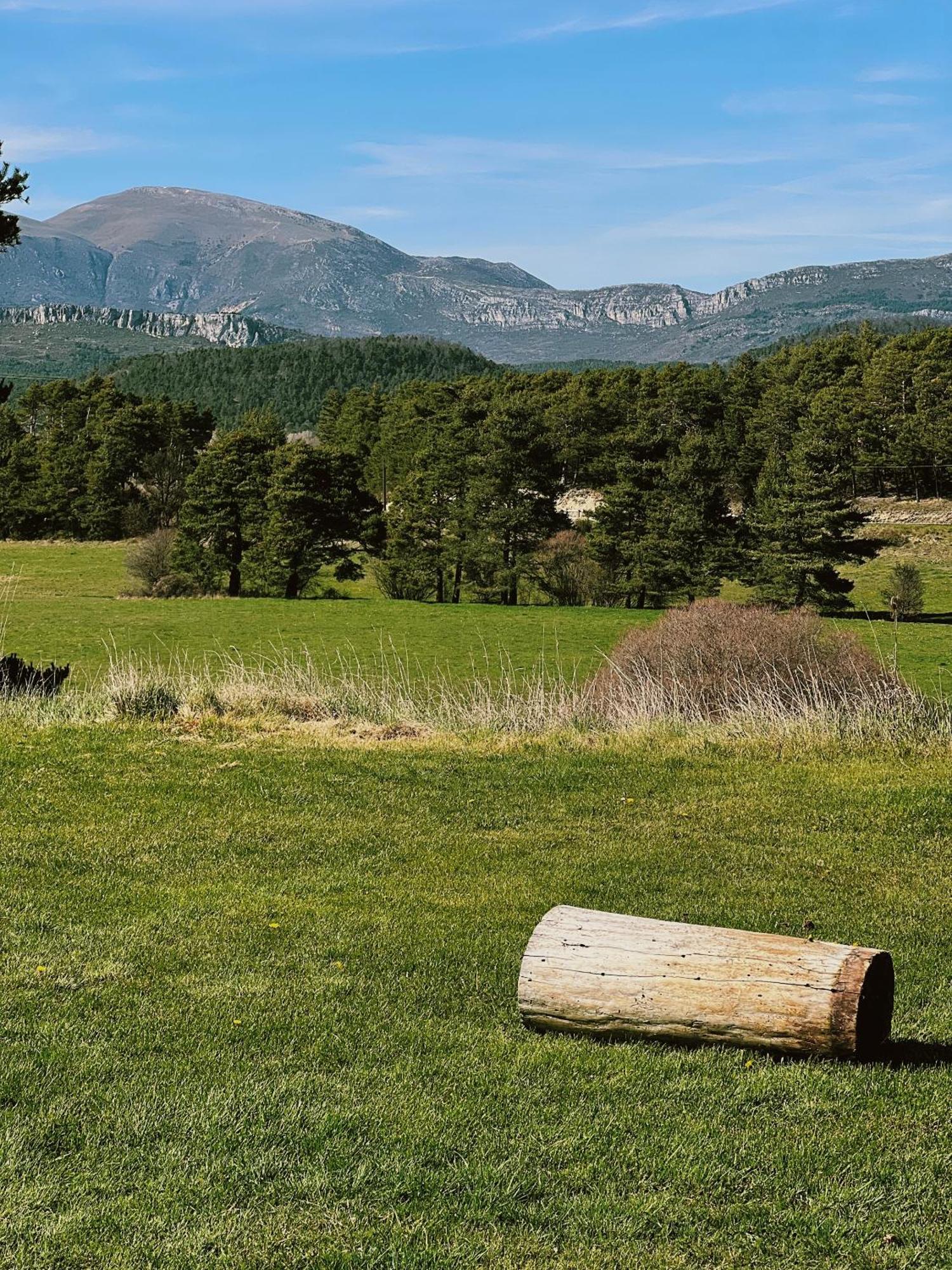 La Bastide Des Pins Affittacamere 3*