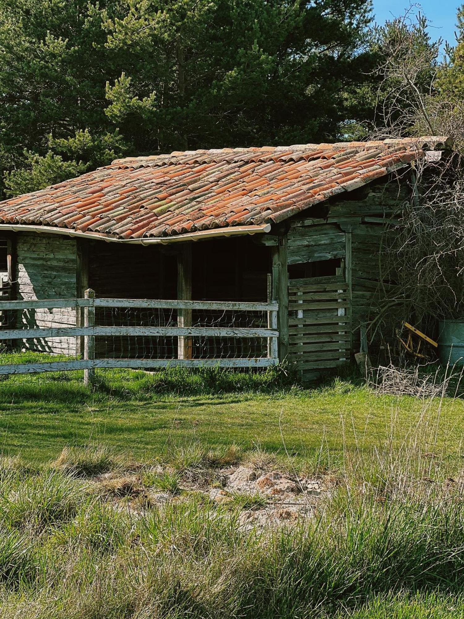 Gasthof Des Pins La Bastide (Var)
