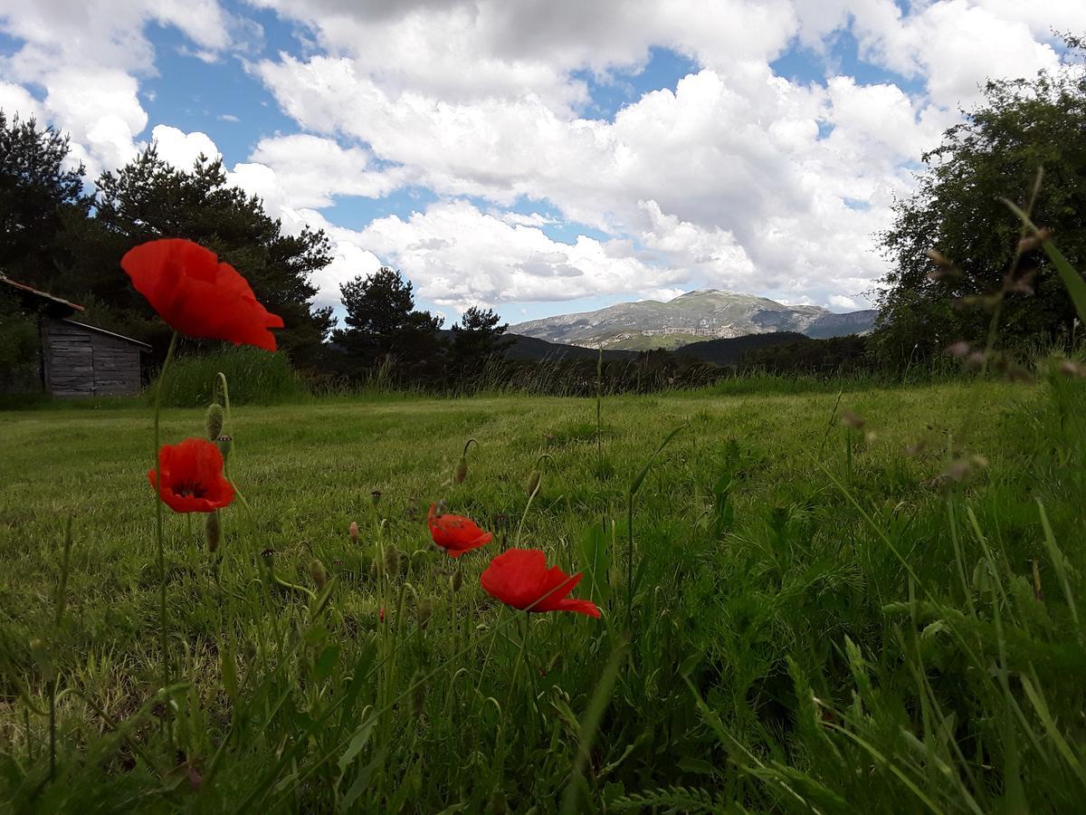La Bastide Des Pins Affittacamere