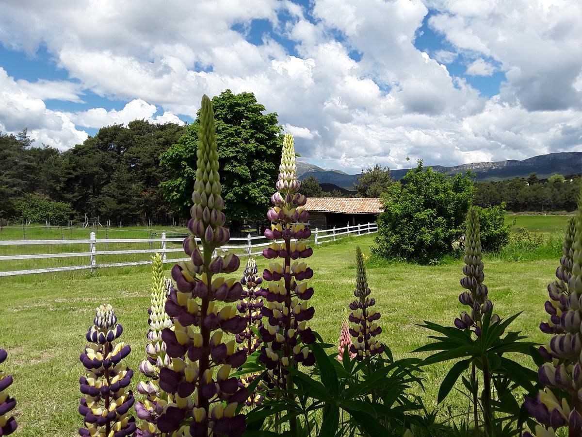 La Bastide Des Pins Affittacamere 3*